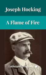 A Flame of Fire: Being the History of Three Englishmen in Spain at the Time of the Armada by Joseph Hocking